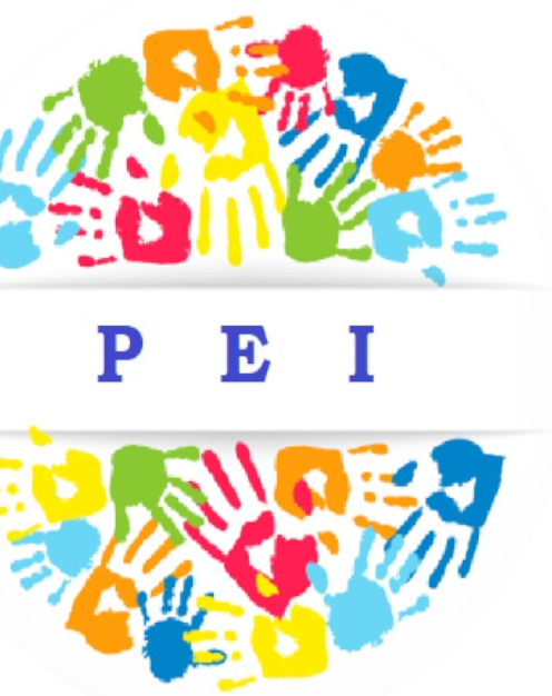 Planejamento Educacional Individualizado